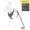 dog harness with 1.5m leash