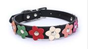 flower pet dog collar